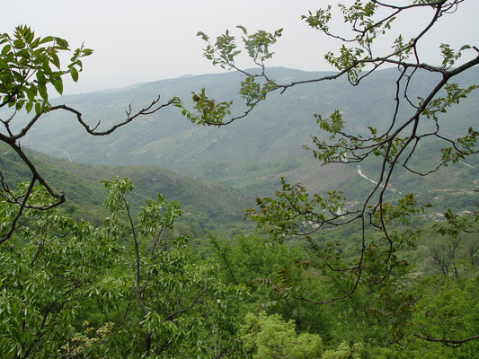 江苏旅游:探秘东海胜境花果山(图)
