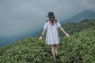蒙顶山｜距成都仅一个半小时的避暑圣地，给你一个23℃的夏天！