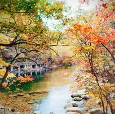 蒲石河森林公园-凤城-素心如雪lavender