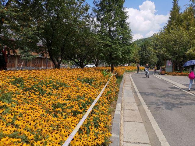 孔学堂旅行图片 10