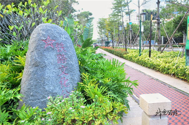 慢走厦门,有一条路带你穿越时光欣赏这座城市