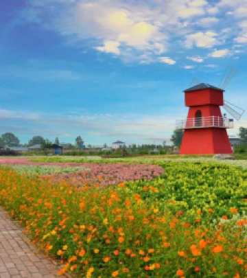 枝江游记图文-枝江同心花海风景区一日游，自驾游路线及酒店攻略