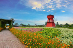 枝江游记图片] 枝江同心花海风景区一日游，自驾游路线及酒店攻略