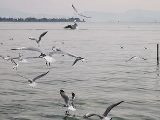 云南东南线自驾游