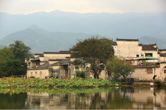 2020，第一次旅行，也是一次难忘的旅行。。。。。。