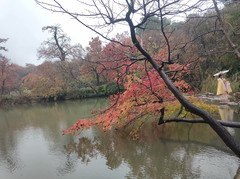 南京游记图片] 红遍姑苏与金陵(天平山+栖霞山+南山竹海)