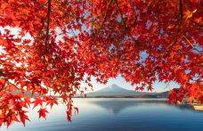 富士山-富士宫市