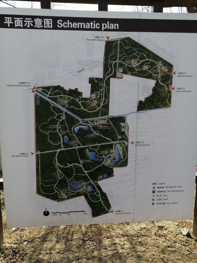奥北森林公园二期北区旅行图片 3