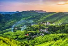 大洞竹海景点图片