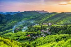 大洞竹海-盘州-C-IMAGE