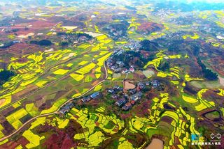 又到赏花踏青时，“天下第一福地”安仁的春日风光不忍错过！