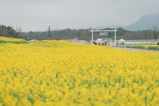 金华周边游 | 避开人潮,奔赴春天里一切的美好