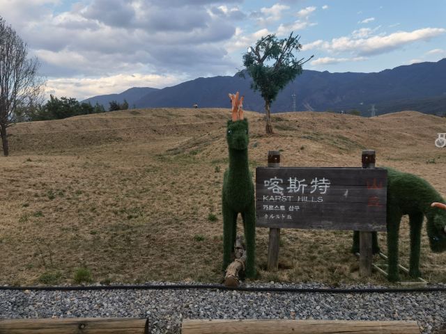 雪山花海乐园旅行图片 5