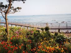 海水浴场(洗浴休闲)金沙滩-青岛-梅兰竹菊6666