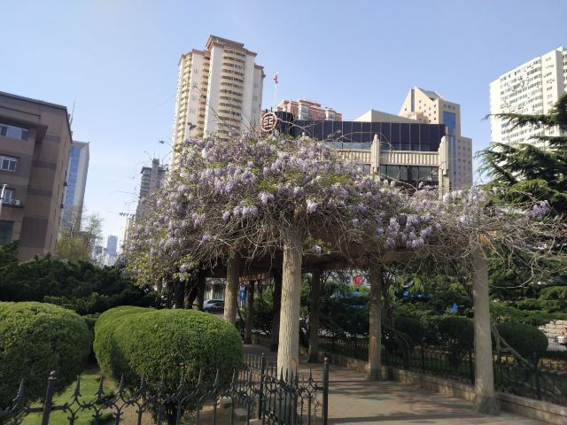五四广场旅行图片 1