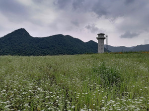 宽甸游记图文-沈阳周边自驾最美风光 沈阳-抚顺-集安-宽甸