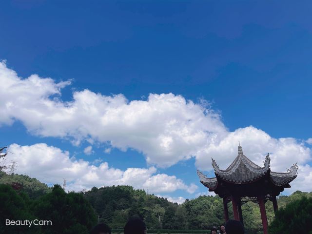 长坡岭国家森林公园旅行图片 2