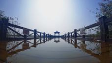 南大港湿地-黄骅-石头爹0219