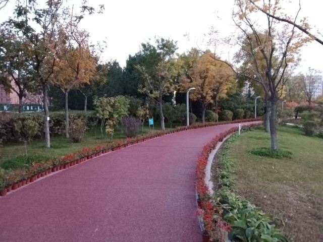 晋阳街公园旅行图片 7