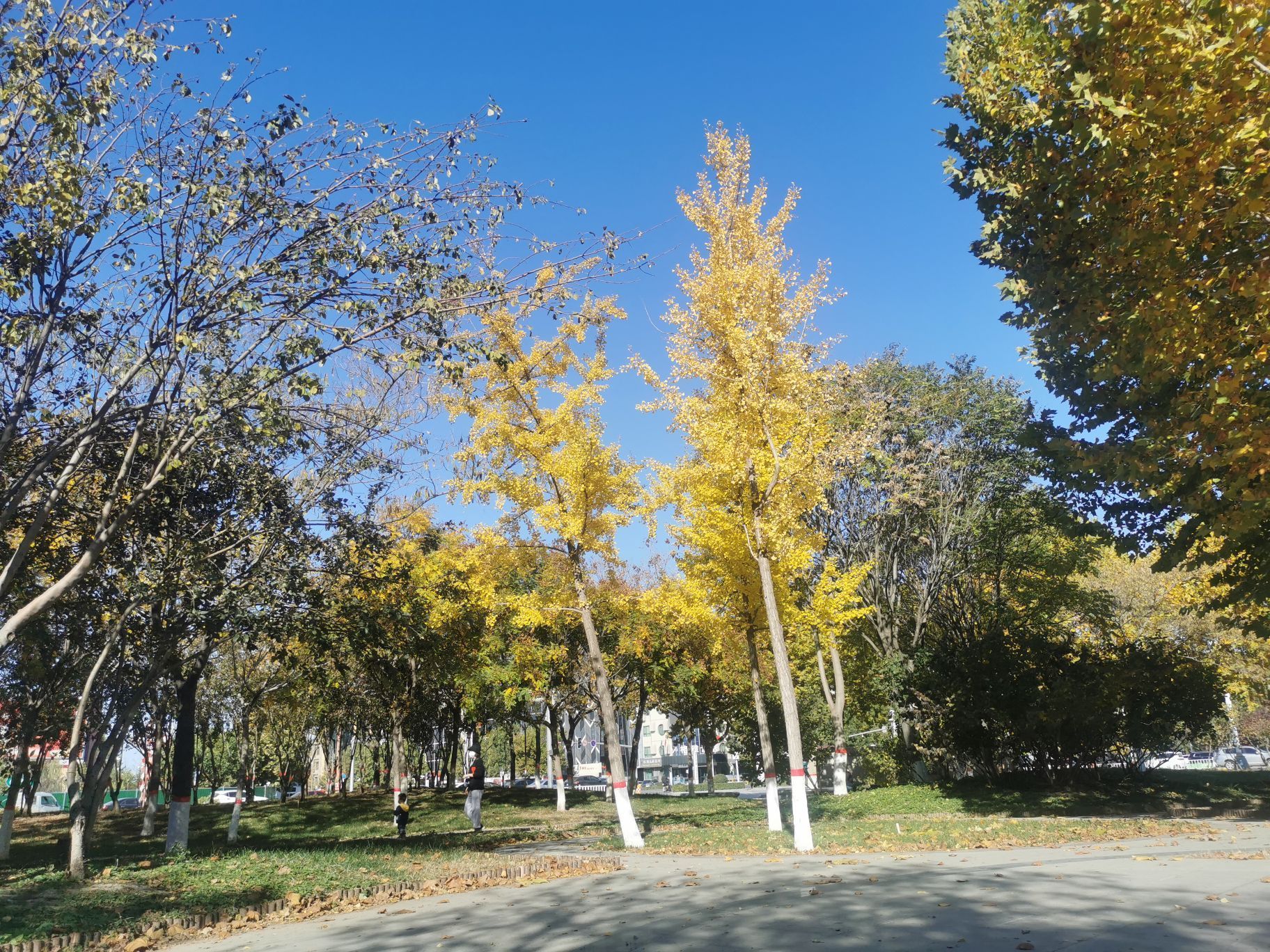 喜芝多(天祥路店)