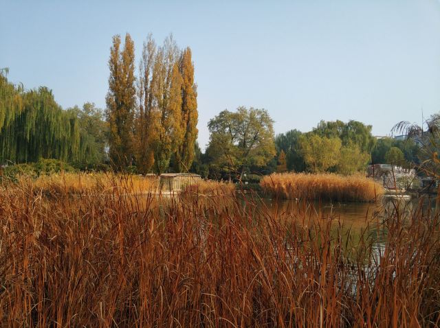 人定湖公园旅行图片 13