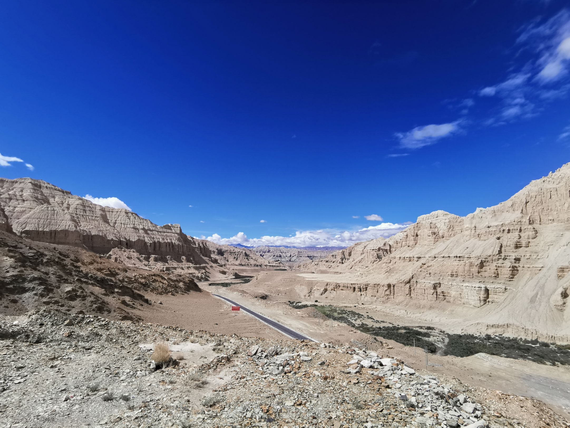 Tibet Ali Zanda soil forest