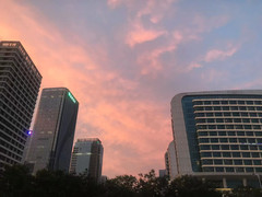 日照街道游记图片] 宝藏酒店│日照钧华❤遇见蓝海 邂逅山东