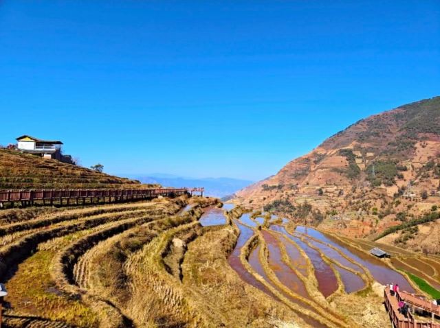 新山梯田旅行图片 2