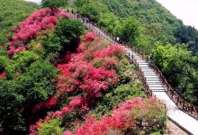 黄坪山生态旅游风景区景点图片