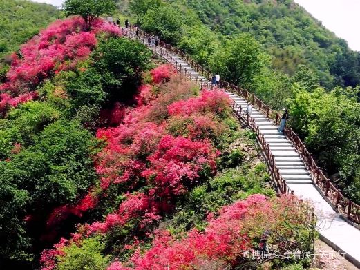 黄坪山生态旅游风景区