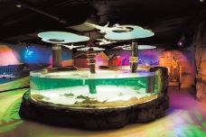 墨尔本水族馆-墨尔本