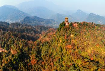 青城山+青城后山一日游【专车&纯包车&独立出游&亲子游】【[服务保障]老司机出游安全保障】