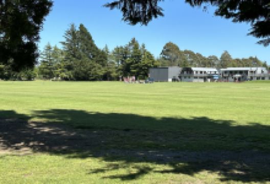 Darfield Reserve景点图片