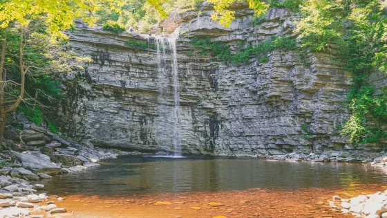 Fitzgerald Falls