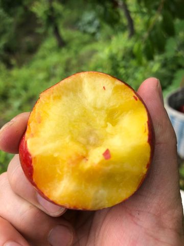 周末好去处,钓鱼、烧烤、采摘、溯溪、住民宿,这个地方你肯定没想到!