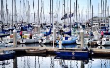 老渔人码头-蒙特雷-hiluoling