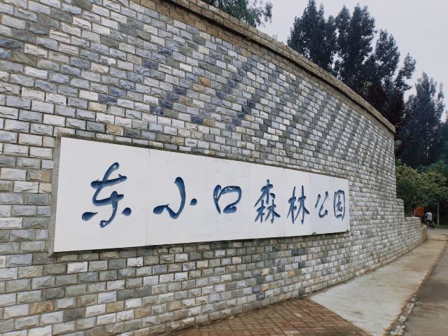 奥北森林公园二期北区旅行图片 3