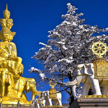 峨眉山+乐山大佛2日1晚私家团