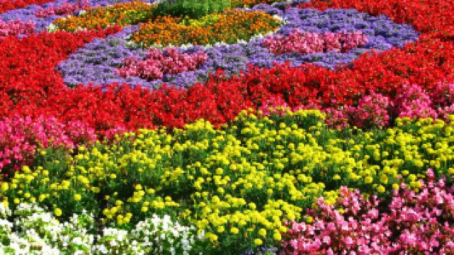 唐島灣濱海公園