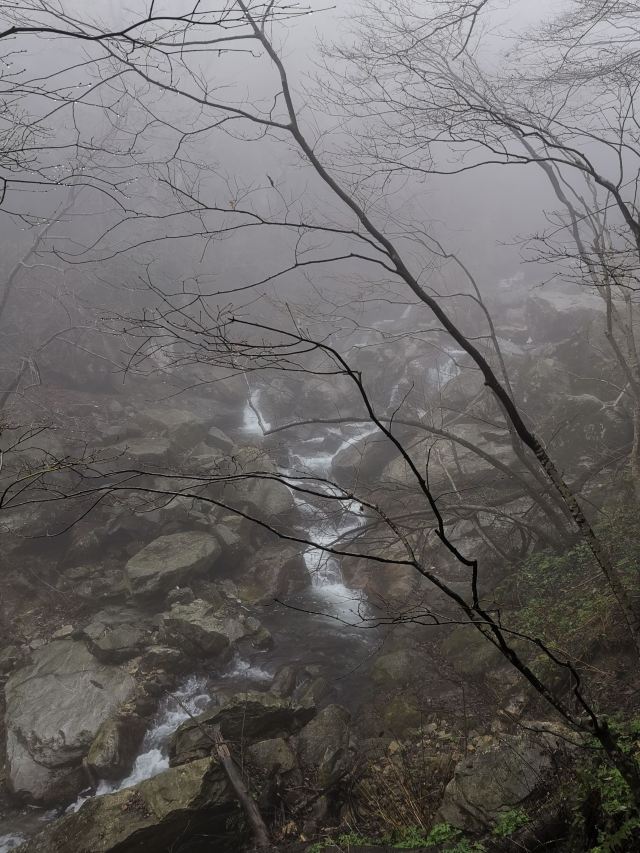 马鬃岭景区旅行图片 5