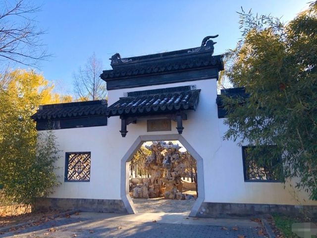 花博会主题公园旅行图片 1