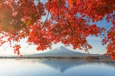 河口湖天上山公园-富士河口湖町