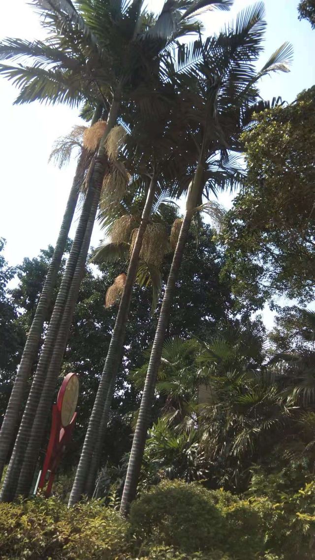 海滨公园旅行图片 2