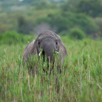 南非+纳米比亚12日9晚跟团游
