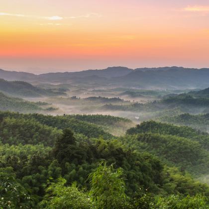 盐业历史博物馆+赤水丹霞+蜀南竹海+泸州老窖景区4日3晚私家团