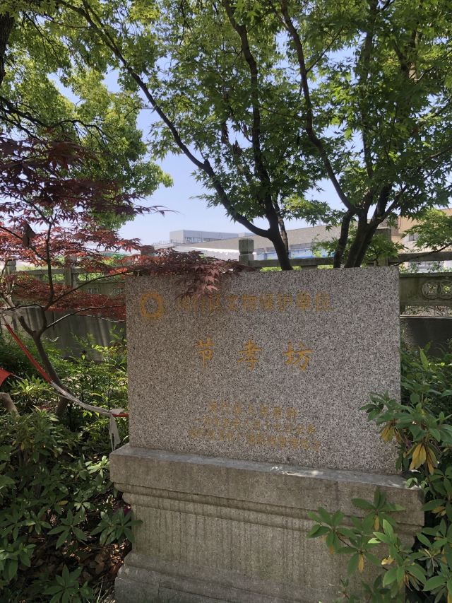 古藤园旅行图片 13