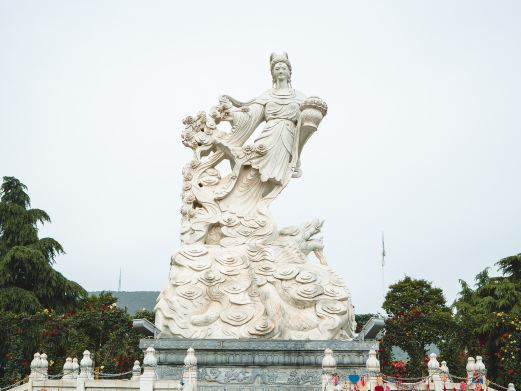 中国月季园