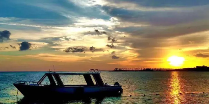 東營紅灘濕地旅遊區