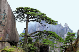 婺源、黄山自驾行