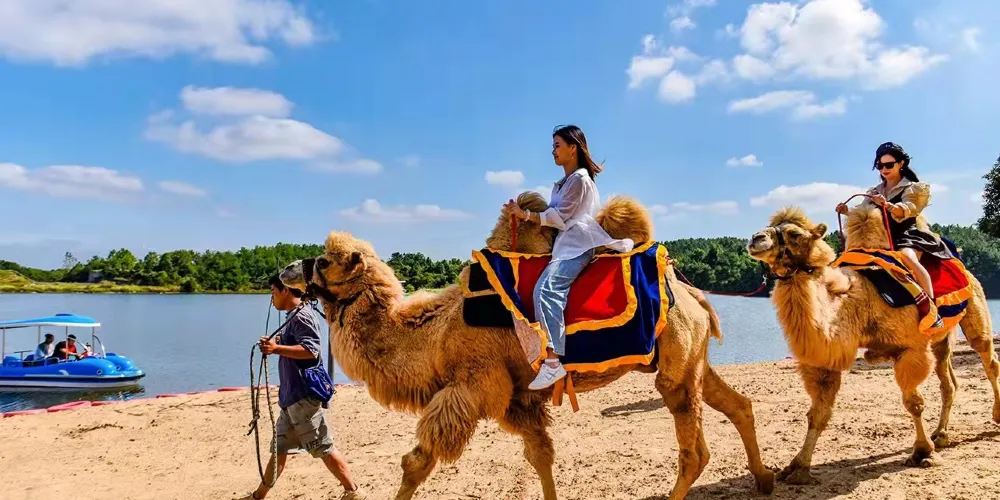永安旅遊